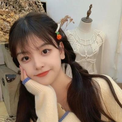 狼与狮子